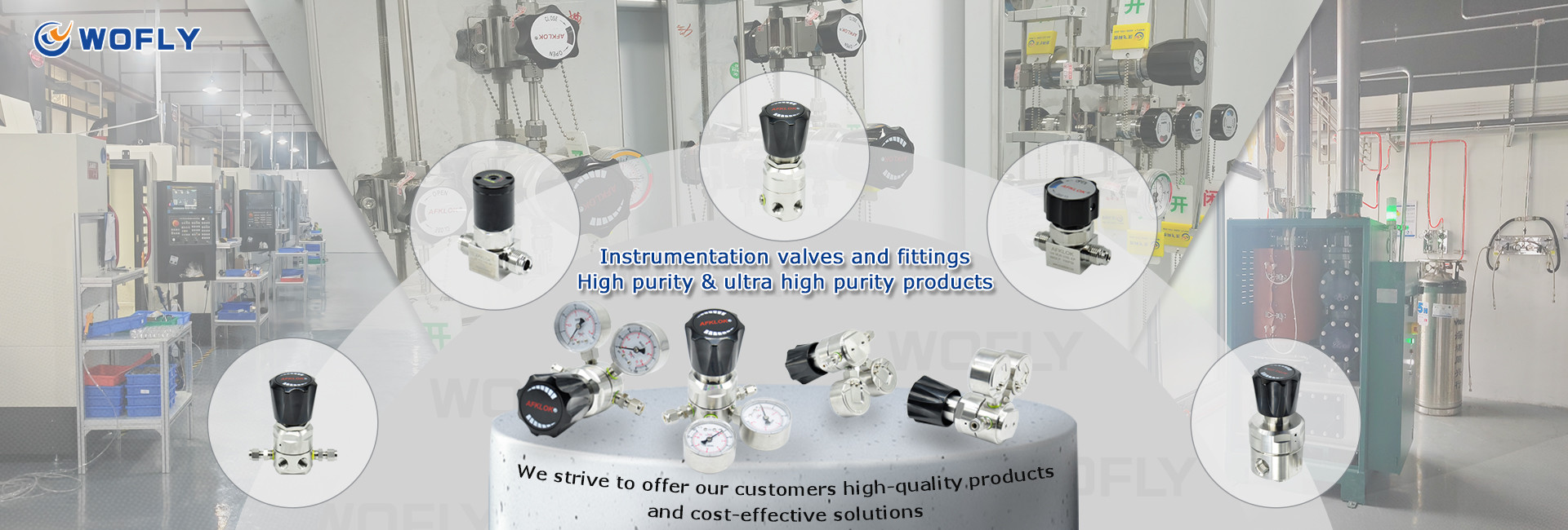 質 ステンレス鋼の圧力調整器 工場