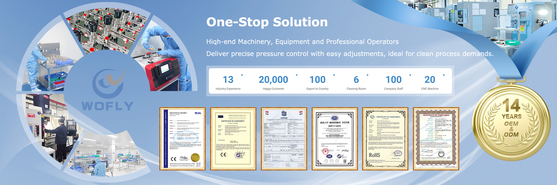 質 ステンレス鋼の圧力調整器 工場