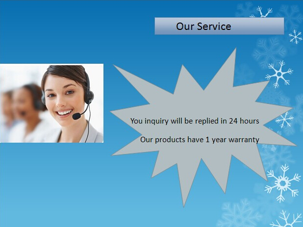 ダイヤフラムの水のための磁気潅漑の電磁弁AC24V 7