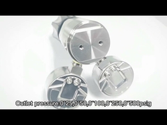 6mm OD R11 Double Gauge Pressure Regulator N2 He 4000psi SS Pressure Regulator
